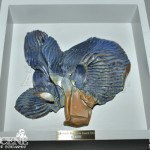 Blue Wave Award - 2013 Lakeshorts International Short Film Festival