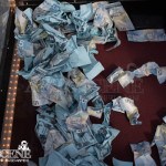 Illusionist Performance - Now You See Me Toronto Red Carpet Premiere