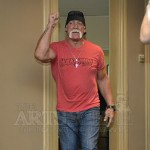 Hulk Hogan - Fan Expo 2013