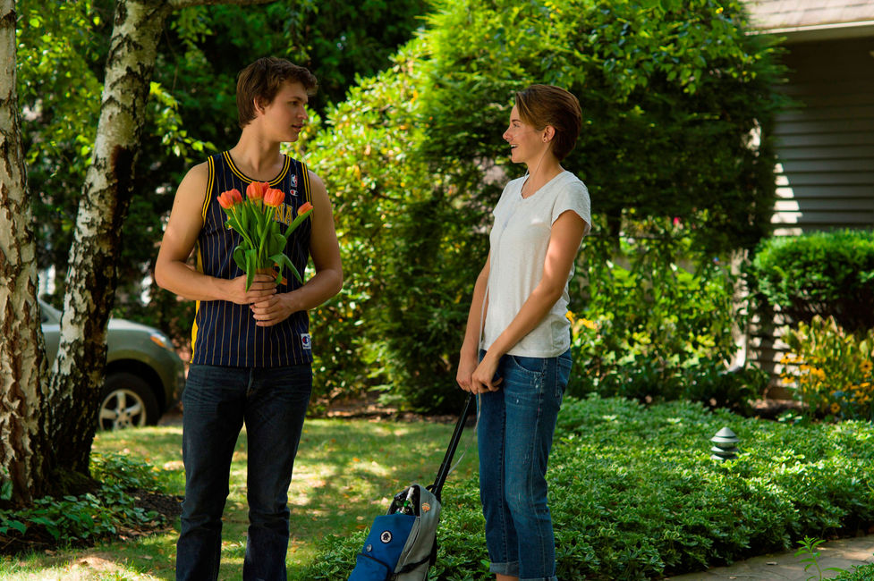 The Fault in Our Stars